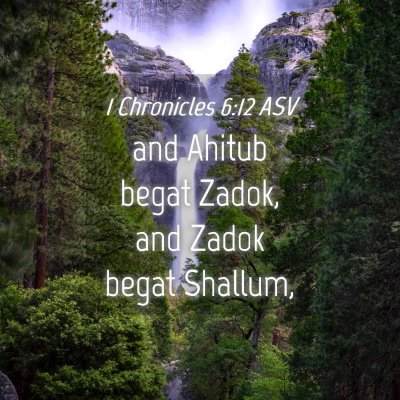 Picture 04 - 1 Chronicles 6:12 ASV - and Ahitub begat Zadok, and Zadok begat - Bible Verse Picture