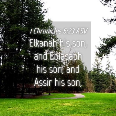 Picture 04 - 1 Chronicles 6:23 ASV - Elkanah his son, and Ebiasaph his son, and Assir - Bible Verse Picture