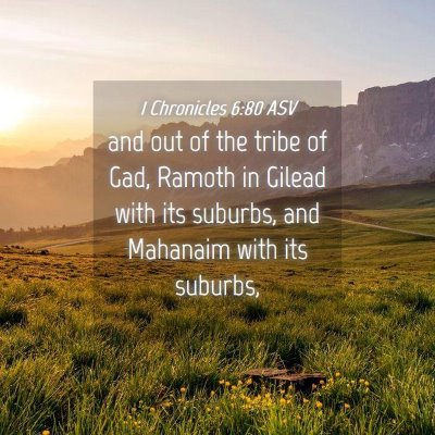 Picture 04 - 1 Chronicles 6:80 ASV - and out of the tribe of Gad, Ramoth in Gilead - Bible Verse Picture