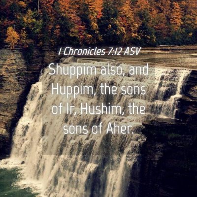 Picture 04 - 1 Chronicles 7:12 ASV - Shuppim also, and Huppim, the sons of Ir, Hushim, - Bible Verse Picture