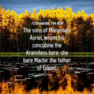Picture 04 - 1 Chronicles 7:14 ASV - The sons of Manasseh: Asriel, whom his concubine - Bible Verse Picture