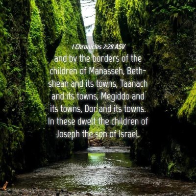 Picture 04 - 1 Chronicles 7:29 ASV - and by the borders of the children of Manasseh, - Bible Verse Picture