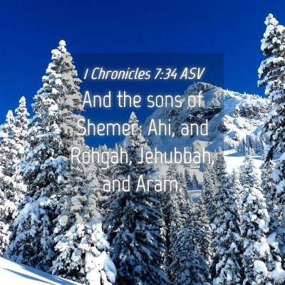 Picture 04 - 1 Chronicles 7:34 ASV - And the sons of Shemer: Ahi, and Rohgah, - Bible Verse Picture