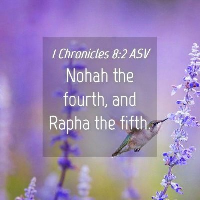 Picture 04 - 1 Chronicles 8:2 ASV - Nohah the fourth, and Rapha the - Bible Verse Picture