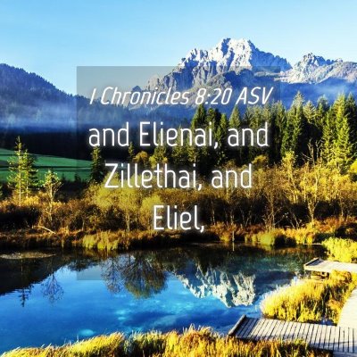 Picture 04 - 1 Chronicles 8:20 ASV - and Elienai, and Zillethai, and - Bible Verse Picture