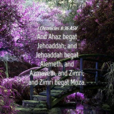 Picture 04 - 1 Chronicles 8:36 ASV - And Ahaz begat Jehoaddah; and Jehoaddah begat - Bible Verse Picture
