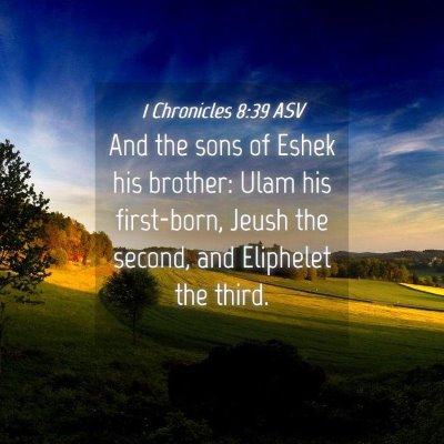 Picture 04 - 1 Chronicles 8:39 ASV - And the sons of Eshek his brother: Ulam his - Bible Verse Picture
