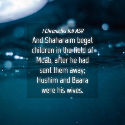Picture 04 - 1 Chronicles 8:8 ASV - And Shaharaim begat children in the field of - Bible Verse Picture