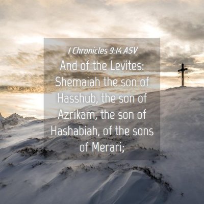 Picture 04 - 1 Chronicles 9:14 ASV - And of the Levites: Shemaiah the son of Hasshub, - Bible Verse Picture