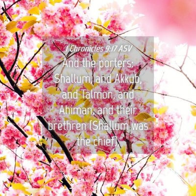 Picture 04 - 1 Chronicles 9:17 ASV - And the porters: Shallum, and Akkub, and Talmon, - Bible Verse Picture