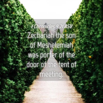 Picture 04 - 1 Chronicles 9:21 ASV - Zechariah the son of Meshelemiah was porter of - Bible Verse Picture