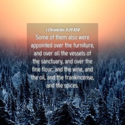 Picture 04 - 1 Chronicles 9:29 ASV - Some of them also were appointed over the - Bible Verse Picture