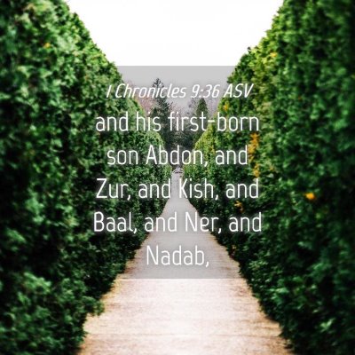 Picture 04 - 1 Chronicles 9:36 ASV - and his first-born son Abdon, and Zur, and Kish, - Bible Verse Picture