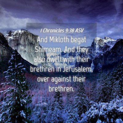 Picture 04 - 1 Chronicles 9:38 ASV - And Mikloth begat Shimeam. And they also dwelt - Bible Verse Picture