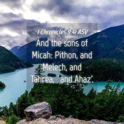 Picture 04 - 1 Chronicles 9:41 ASV - And the sons of Micah: Pithon, and Melech, and - Bible Verse Picture