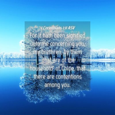 Picture 04 - 1 Corinthians 1:11 ASV - For it hath been signified unto me concerning - Bible Verse Picture
