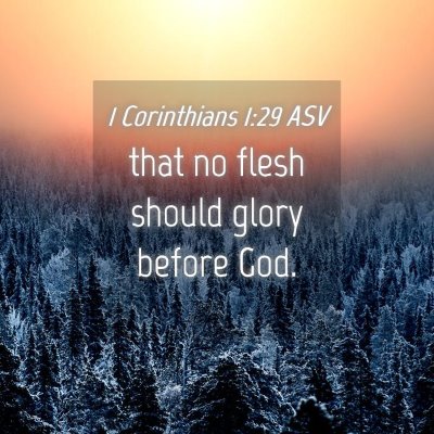 Picture 04 - 1 Corinthians 1:29 ASV - that no flesh should glory before - Bible Verse Picture