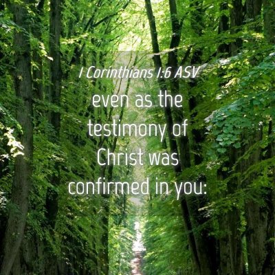 Picture 04 - 1 Corinthians 1:6 ASV - even as the testimony of Christ was confirmed in - Bible Verse Picture