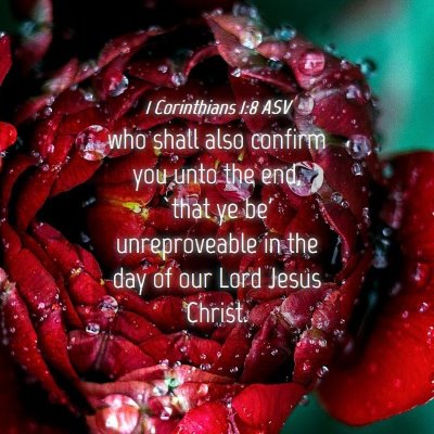 Picture 04 - 1 Corinthians 1:8 ASV - who shall also confirm you unto the end, `that ye - Bible Verse Picture