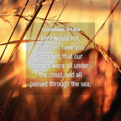 Picture 04 - 1 Corinthians 10:1 ASV - For I would not, brethren, have you ignorant, - Bible Verse Picture