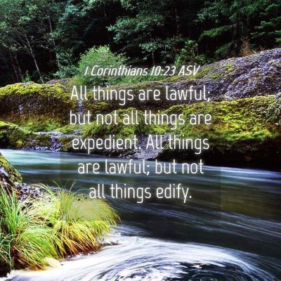 Picture 04 - 1 Corinthians 10:23 ASV - All things are lawful; but not all things are - Bible Verse Picture