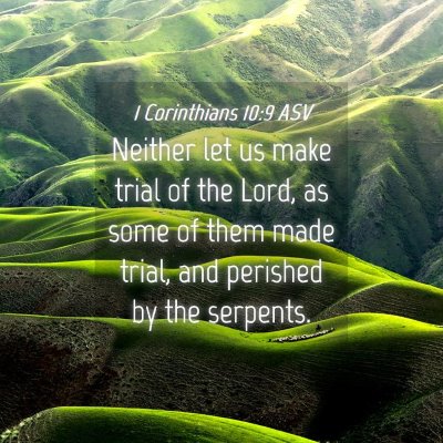 Picture 04 - 1 Corinthians 10:9 ASV - Neither let us make trial of the Lord, as some of - Bible Verse Picture