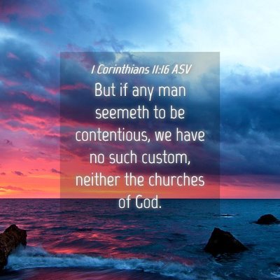 Picture 04 - 1 Corinthians 11:16 ASV - But if any man seemeth to be contentious, we have - Bible Verse Picture