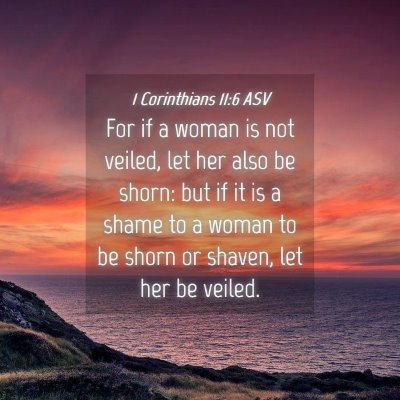 Picture 04 - 1 Corinthians 11:6 ASV - For if a woman is not veiled, let her also be - Bible Verse Picture