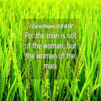 Picture 04 - 1 Corinthians 11:8 ASV - For the man is not of the woman; but the woman of - Bible Verse Picture