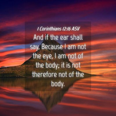 Picture 04 - 1 Corinthians 12:16 ASV - And if the ear shall say, Because I am not the - Bible Verse Picture