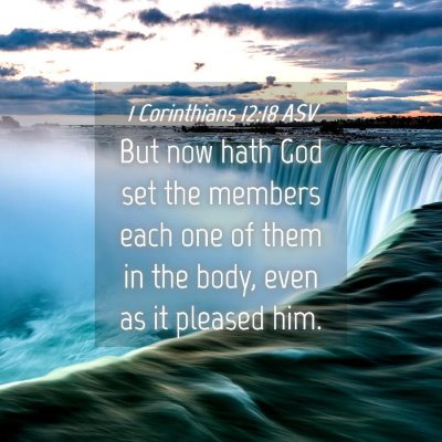 Picture 04 - 1 Corinthians 12:18 ASV - But now hath God set the members each one of them - Bible Verse Picture