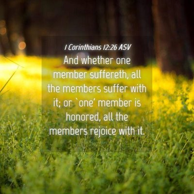 Picture 04 - 1 Corinthians 12:26 ASV - And whether one member suffereth, all the members - Bible Verse Picture