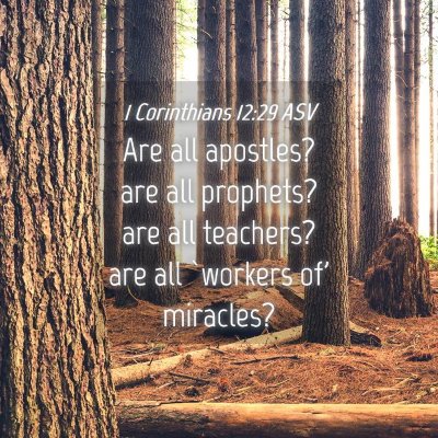 Picture 04 - 1 Corinthians 12:29 ASV - Are all apostles? are all prophets? are all - Bible Verse Picture