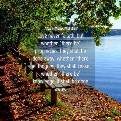 Picture 04 - 1 Corinthians 13:8 ASV - Love never faileth: but whether `there be' - Bible Verse Picture