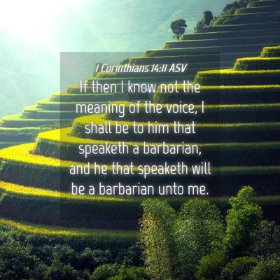 Picture 04 - 1 Corinthians 14:11 ASV - If then I know not the meaning of the voice, I - Bible Verse Picture