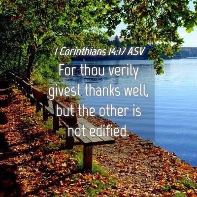 Picture 04 - 1 Corinthians 14:17 ASV - For thou verily givest thanks well, but the other - Bible Verse Picture