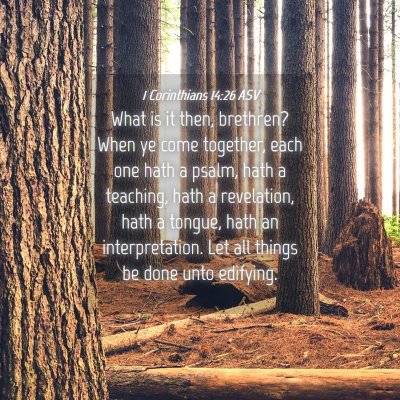 Picture 04 - 1 Corinthians 14:26 ASV - What is it then, brethren? When ye come together, - Bible Verse Picture