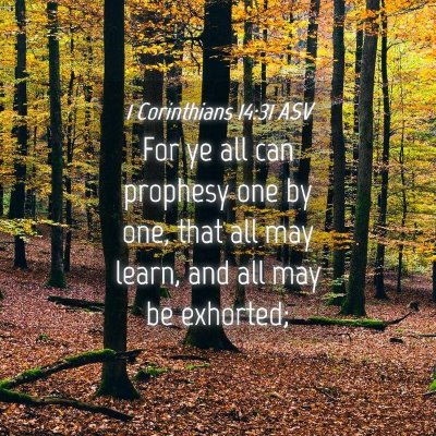 Picture 04 - 1 Corinthians 14:31 ASV - For ye all can prophesy one by one, that all may - Bible Verse Picture
