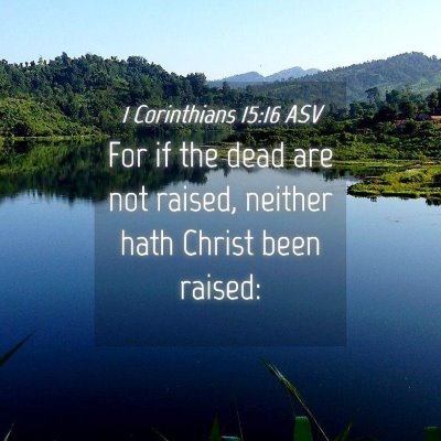 Picture 04 - 1 Corinthians 15:16 ASV - For if the dead are not raised, neither hath - Bible Verse Picture