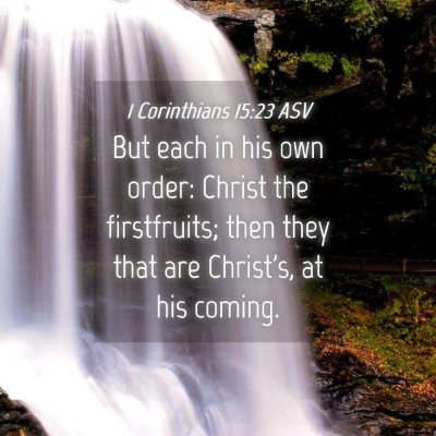 Picture 04 - 1 Corinthians 15:23 ASV - But each in his own order: Christ the - Bible Verse Picture