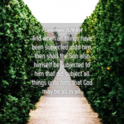 Picture 04 - 1 Corinthians 15:28 ASV - And when all things have been subjected unto him, - Bible Verse Picture