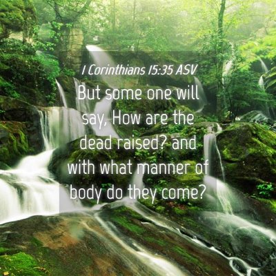 Picture 04 - 1 Corinthians 15:35 ASV - But some one will say, How are the dead raised? - Bible Verse Picture