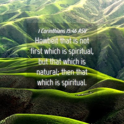 Picture 04 - 1 Corinthians 15:46 ASV - Howbeit that is not first which is spiritual, but - Bible Verse Picture