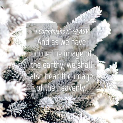 Picture 04 - 1 Corinthians 15:49 ASV - And as we have borne the image of the earthy, we - Bible Verse Picture