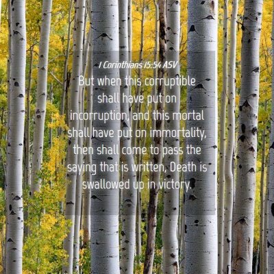 Picture 04 - 1 Corinthians 15:54 ASV - But when this corruptible shall have put on - Bible Verse Picture