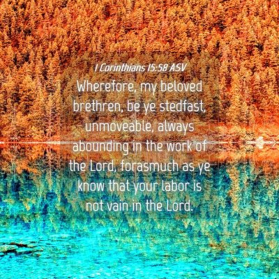 Picture 04 - 1 Corinthians 15:58 ASV - Wherefore, my beloved brethren, be ye stedfast, - Bible Verse Picture