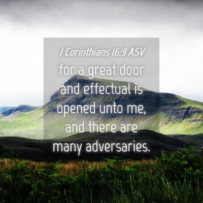 Picture 04 - 1 Corinthians 16:9 ASV - for a great door and effectual is opened unto me, - Bible Verse Picture