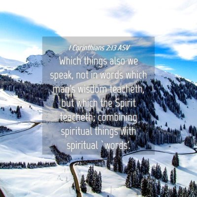 Picture 04 - 1 Corinthians 2:13 ASV - Which things also we speak, not in words which - Bible Verse Picture