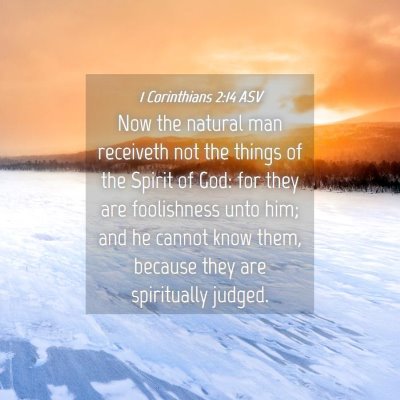 Picture 04 - 1 Corinthians 2:14 ASV - Now the natural man receiveth not the things of - Bible Verse Picture
