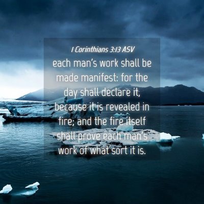 Picture 04 - 1 Corinthians 3:13 ASV - each man's work shall be made manifest: for the - Bible Verse Picture